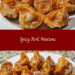 Fiery Spicy Pork Wontons 🌶️🥟