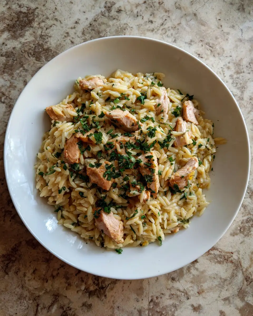 Final dish - Creamy Boursin Orzo with Chicken: A Weeknight Delight