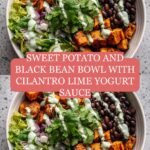 Savor the Flavor Sweet Potato and Black Bean Bowl with Cilantro Lime Yogurt Sauce