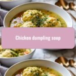 Cozy Bowls of Comfort: Discover the Magic of Chicken Dumpling Soup