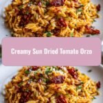 Indulge in Comfort: Creamy Sun Dried Tomato Orzo Delight