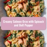 Creamy Salmon Orzo with Spinach and Bell Pepper: A Flavorful One-Pot Wonder