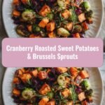 Cranberry Roasted Sweet Potatoes & Brussels Sprouts: A Festive Flavor Explosion